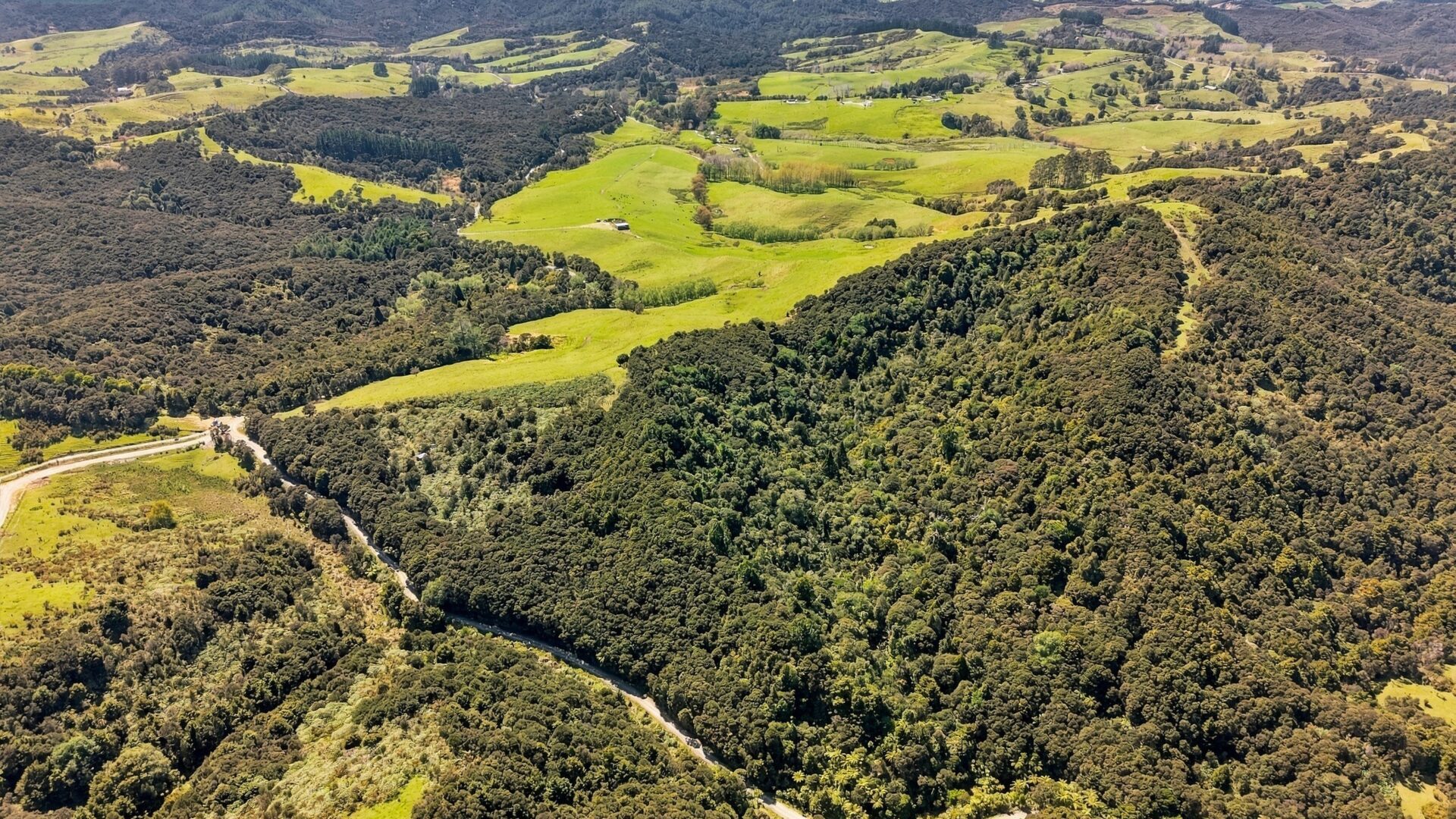 222726670__1791505251-54200-173Paranui-ToatoaRoadTaipa006