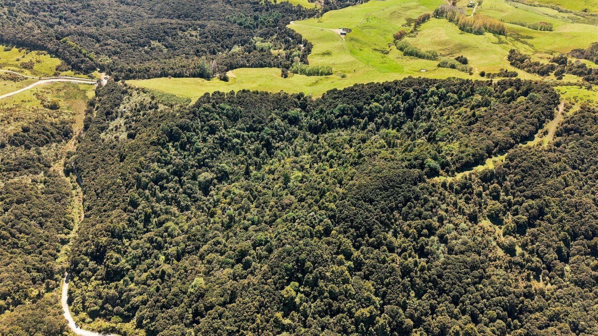 222726674__1791505253-41828-173Paranui-ToatoaRoadTaipa007
