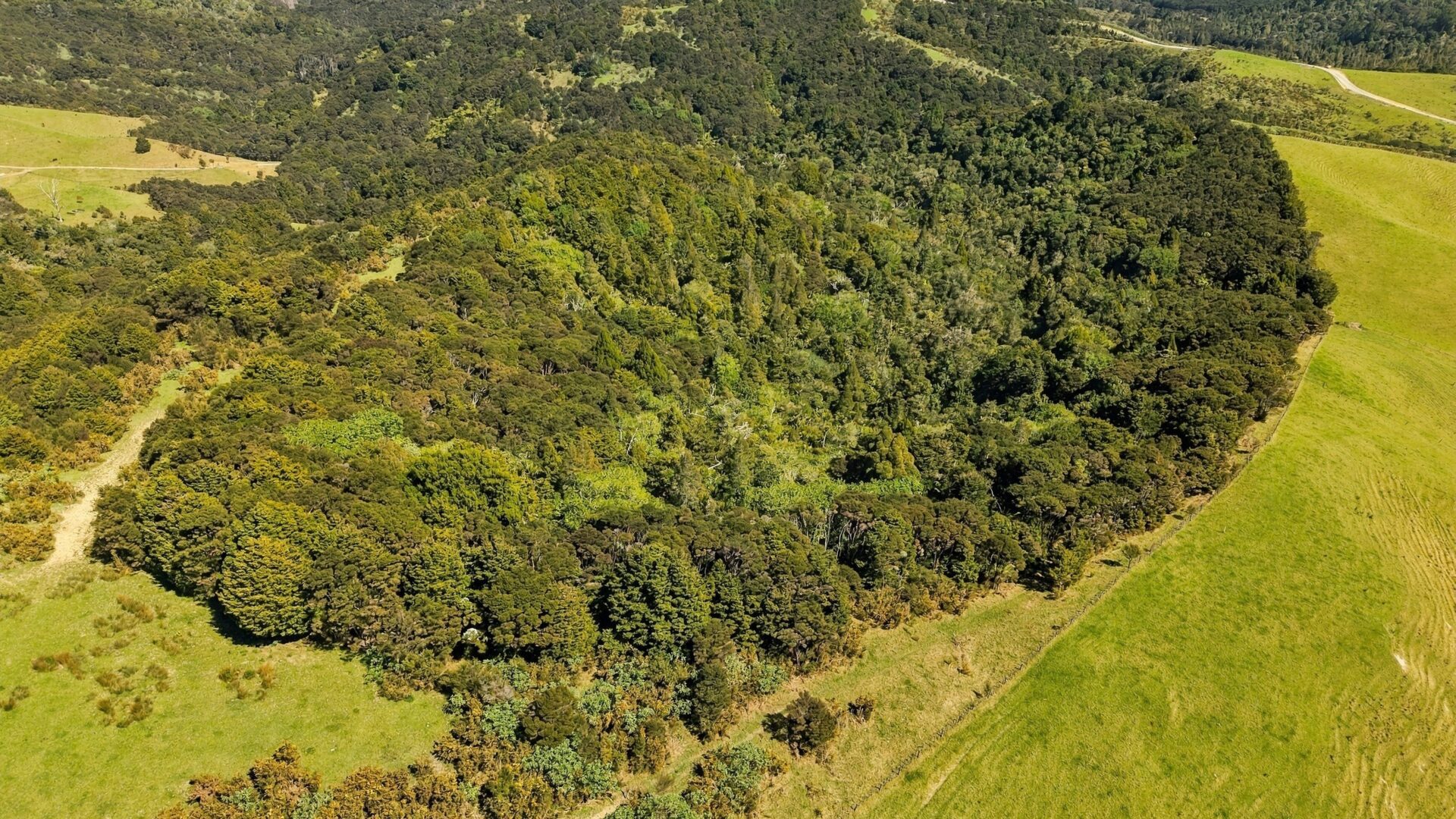 222726687__1791505258-41733-173Paranui-ToatoaRoadTaipa010