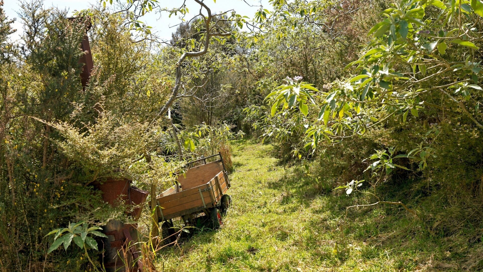 222726732__1791505273-54148-173Paranui-ToatoaRoadTaipa09596