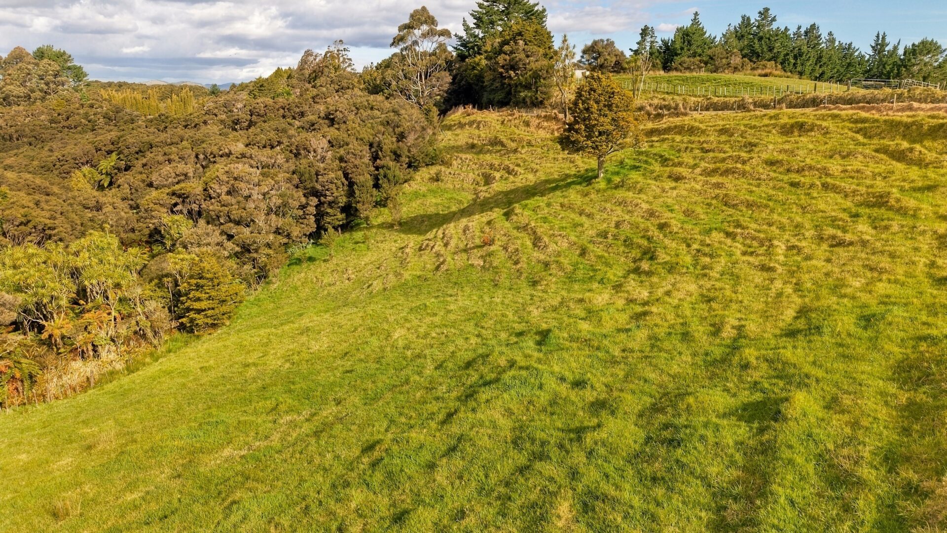 223075591__1791776817-213586-Lot1Fisher-RileyRoadKaingaroa009