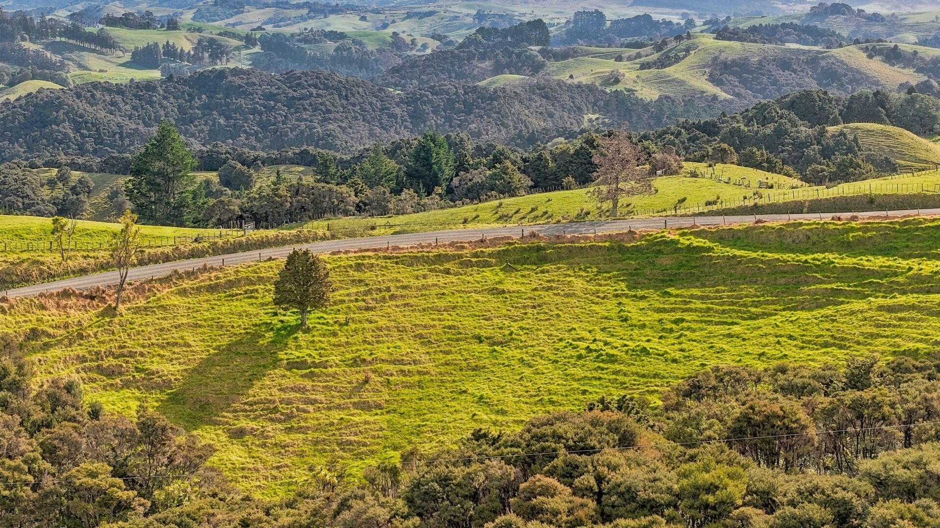 223075597__1791776821-93543-Lot1Fisher-RileyRoadKaingaroa004