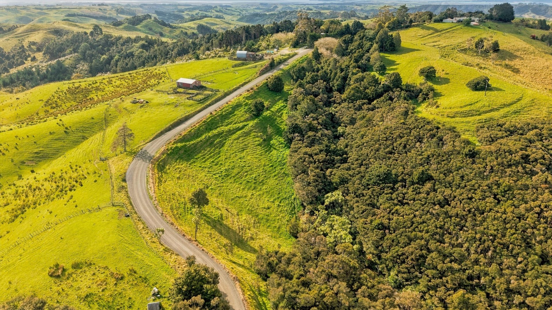 223075621__1791776825-40325-Lot1Fisher-RileyRoadKaingaroa005