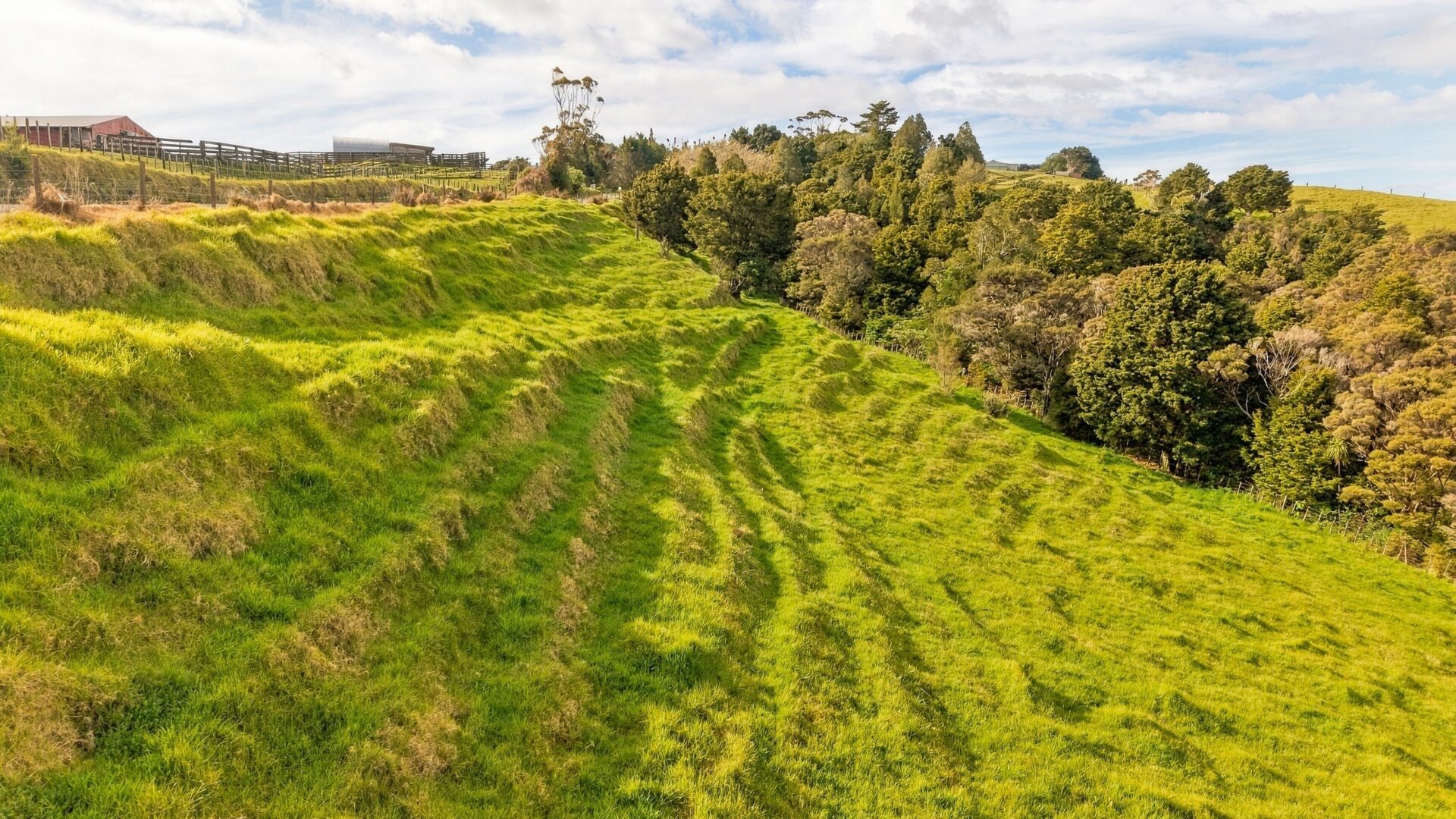 223075633__1791776836-81495-Lot1Fisher-RileyRoadKaingaroa008