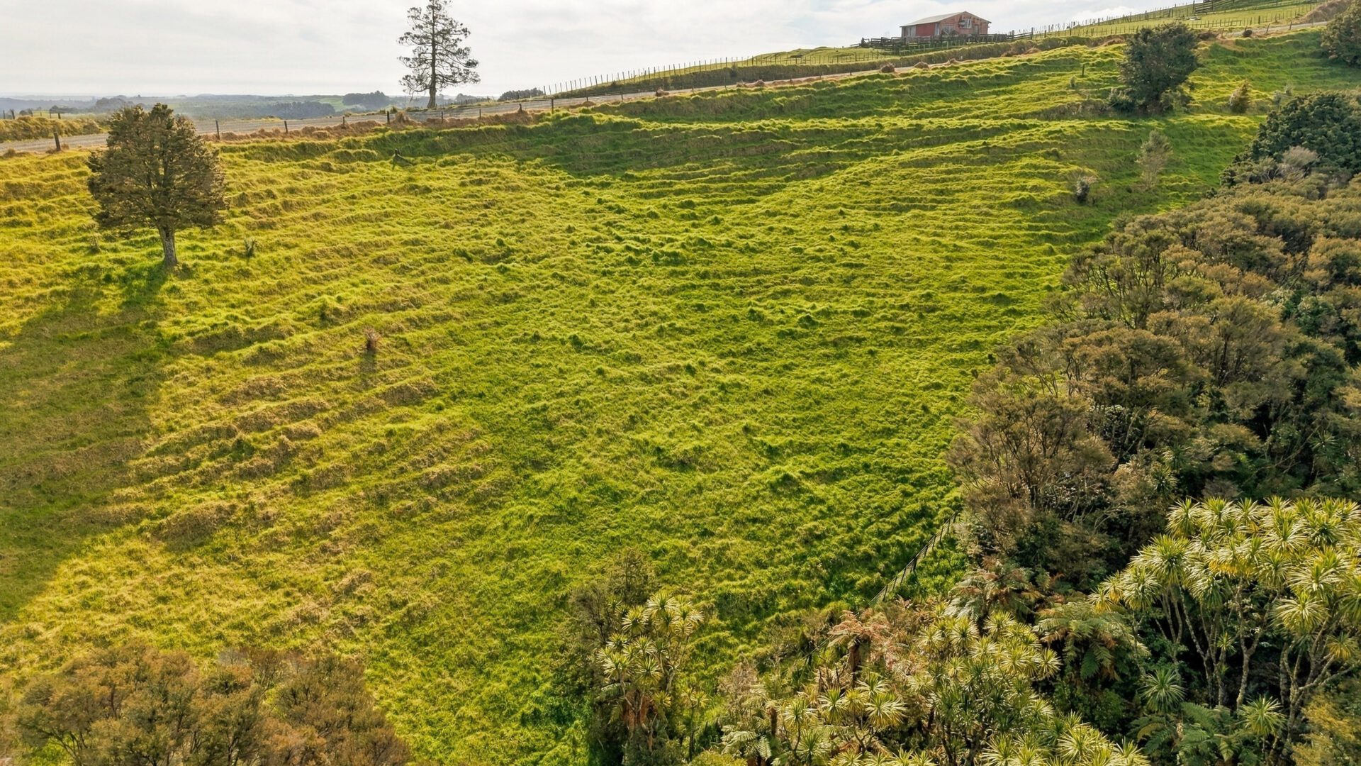 223075636__1791776839-214074-Lot1Fisher-RileyRoadKaingaroa010