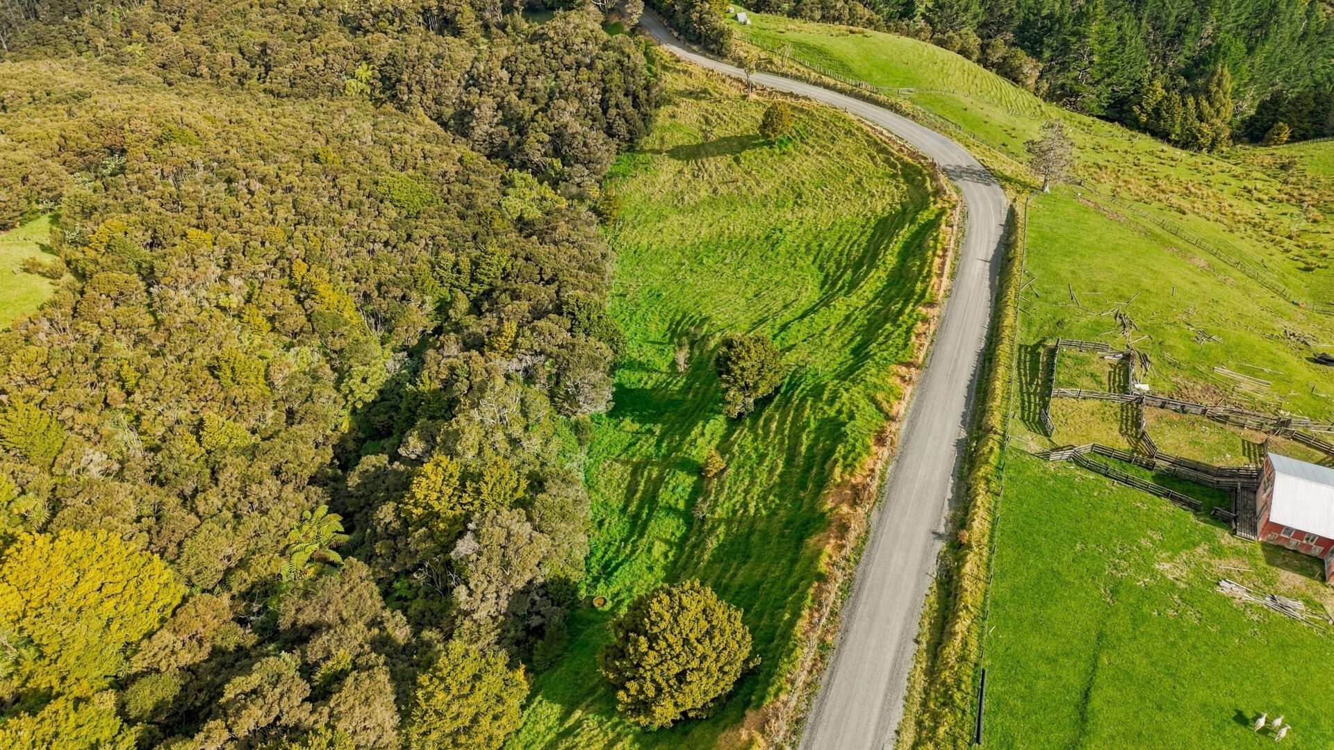 223075640__1791776843-93554-Lot1Fisher-RileyRoadKaingaroa001