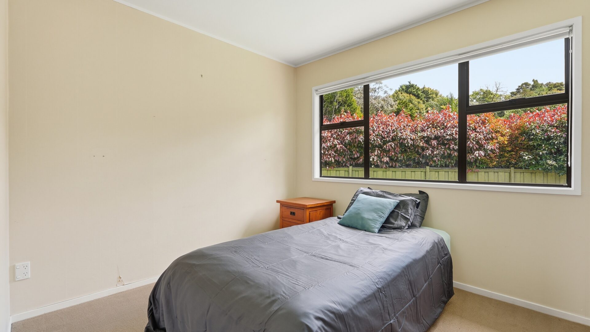 223308130__1791862807-90530-11FreeholdLaneWhangarei014