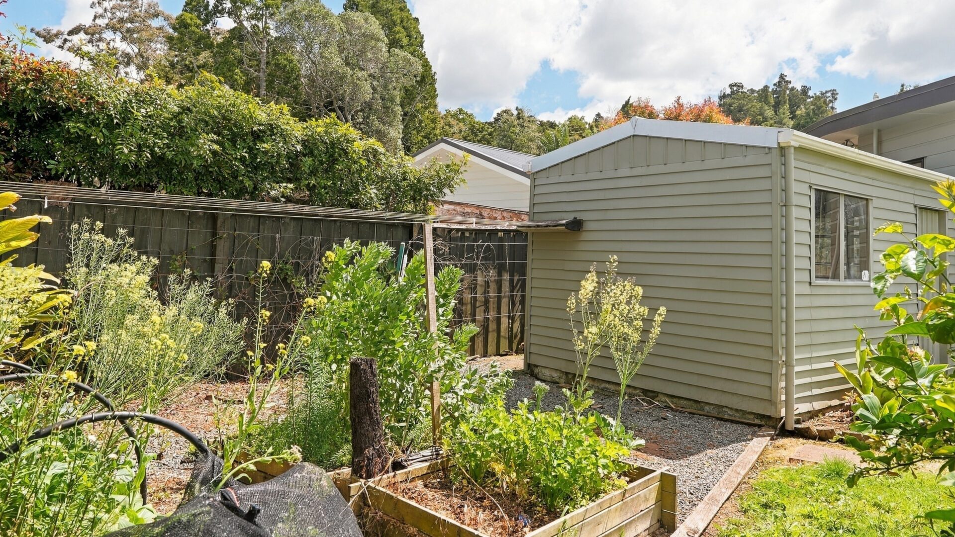 223315082__1791863998-234759-11FreeholdLaneWhangarei027