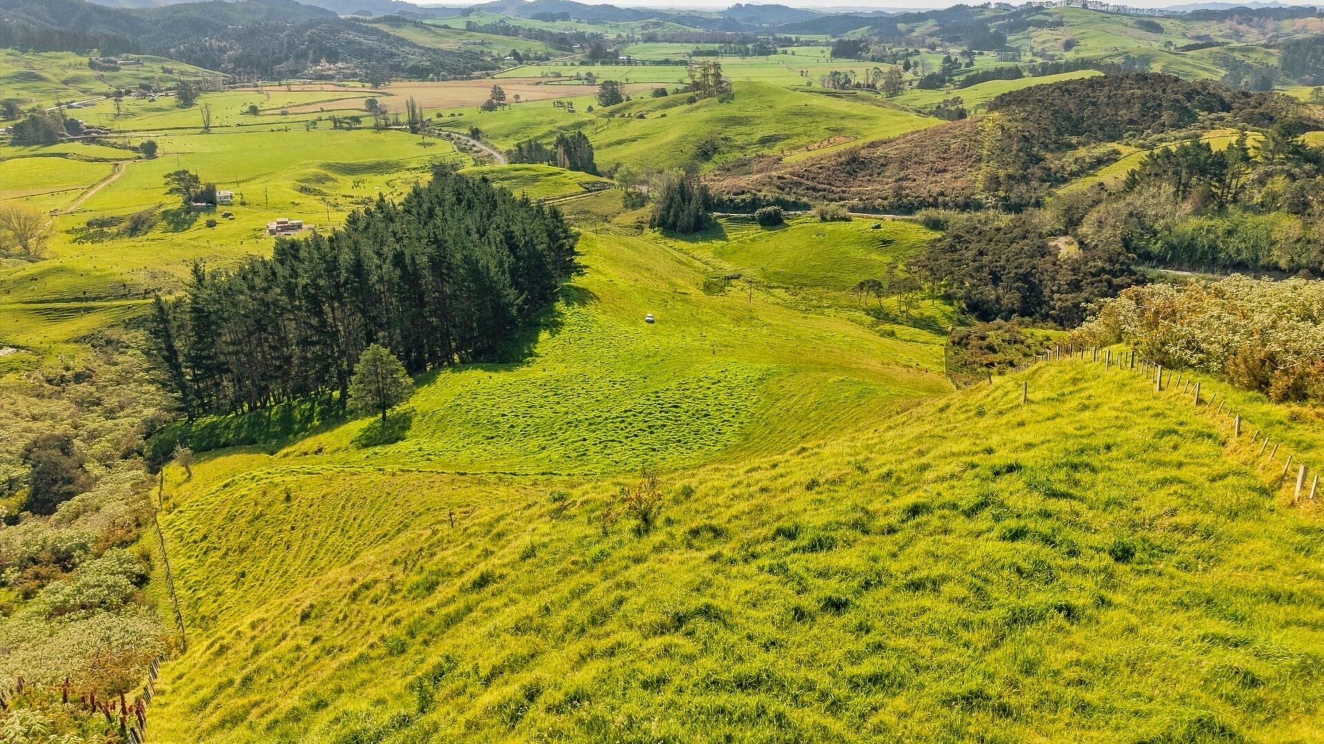 223594127__1791962375-110553-lot1backriverroadmangonui004