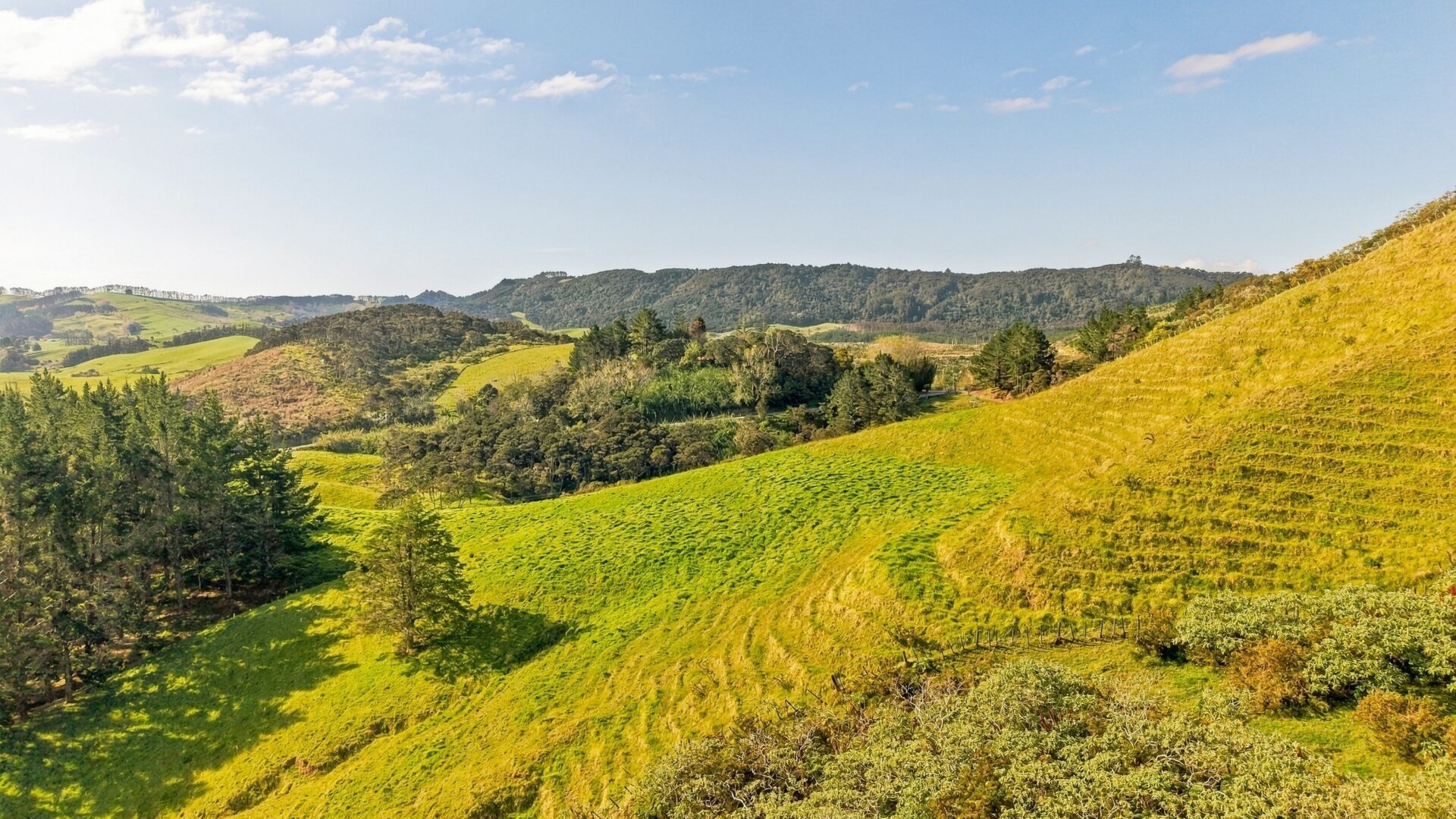 223594128__1791962378-110489-lot1backriverroadmangonui005