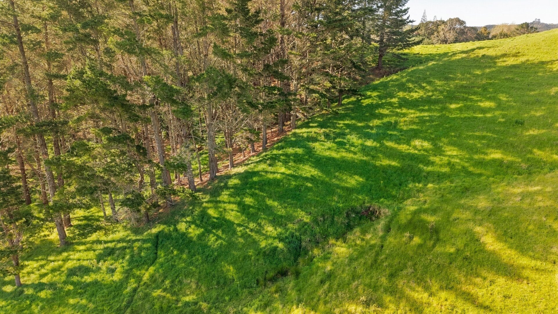223594130__1791962380-110564-lot1backriverroadmangonui006
