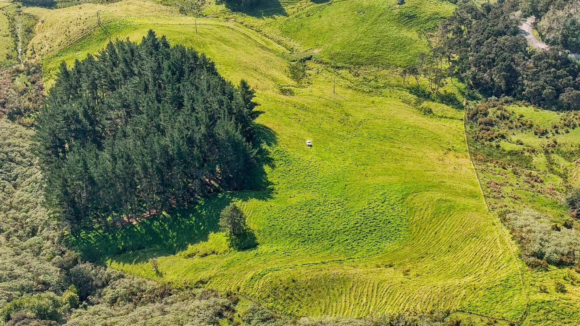 223594135__1791962386-110578-lot1backriverroadmangonui003