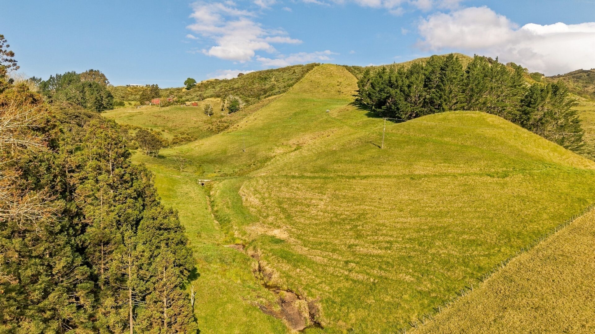 223594137__1791962389-110627-lot1backriverroadmangonui008